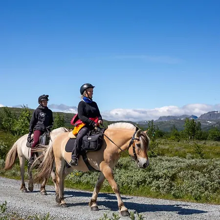 別荘 Luxury And Comfort With Stunning Views Beitostolen