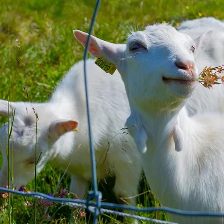 別荘 Luxury And Comfort With Stunning Views Beitostolen